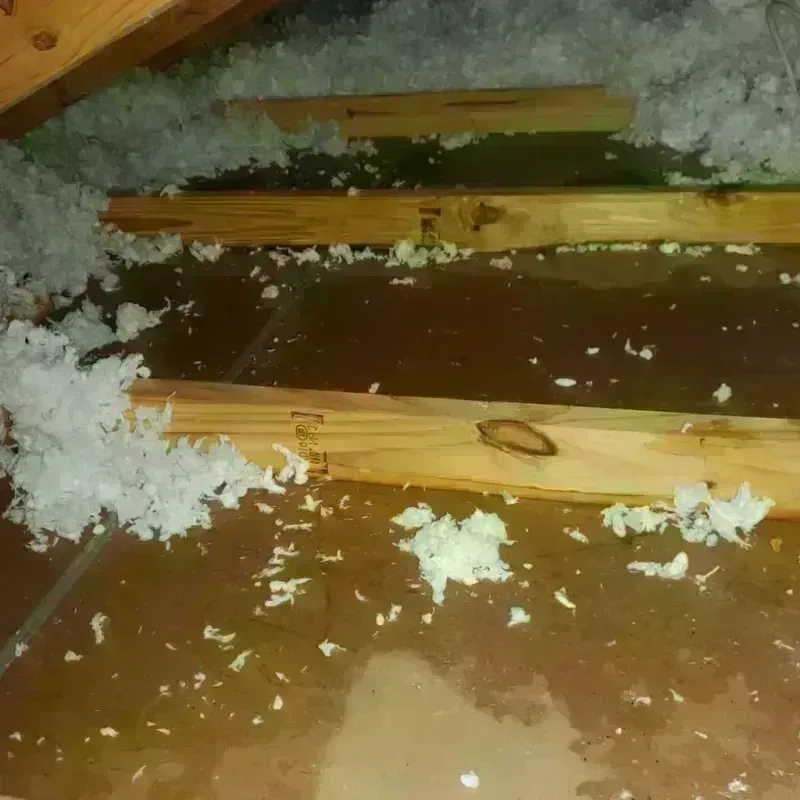 Attic Water Damage in Mansfield, MO