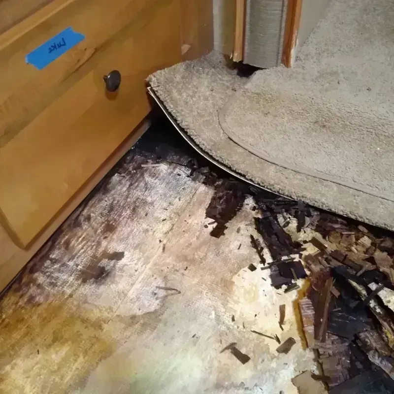 Wood Floor Water Damage in Mansfield, MO